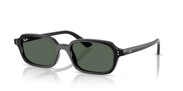 Ray-Ban Zuri RB4455 667771 49